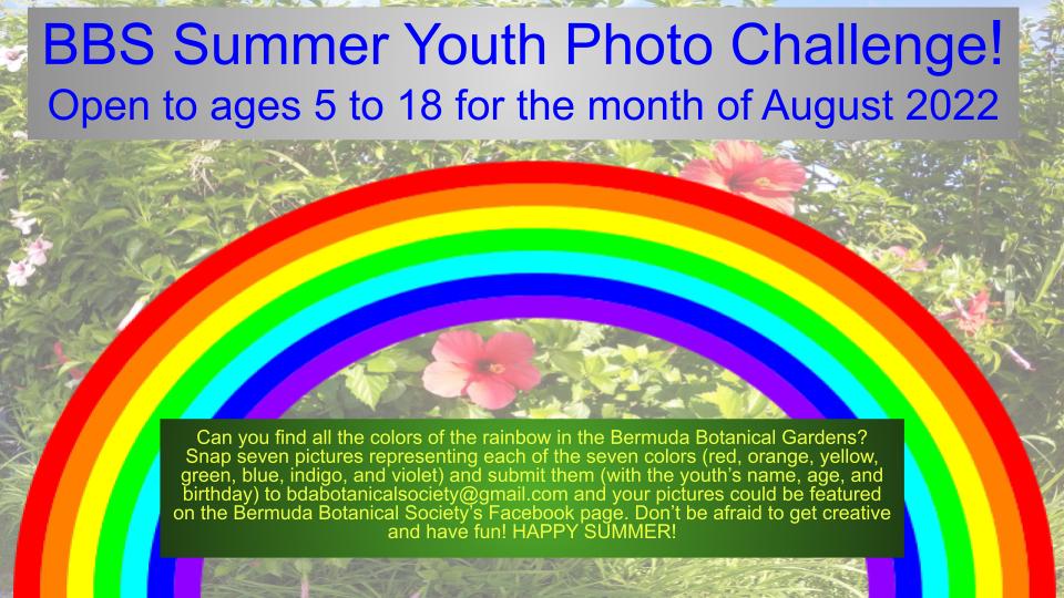 Summer Youth Challenge
